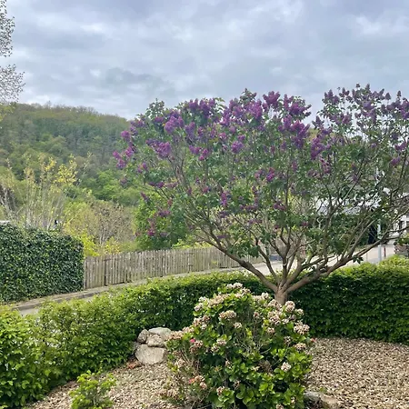 Apartament Auf Muehlenfeld