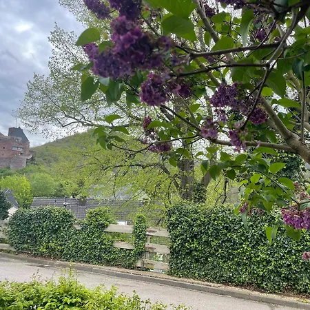 Apartament Auf Muehlenfeld Heimbach