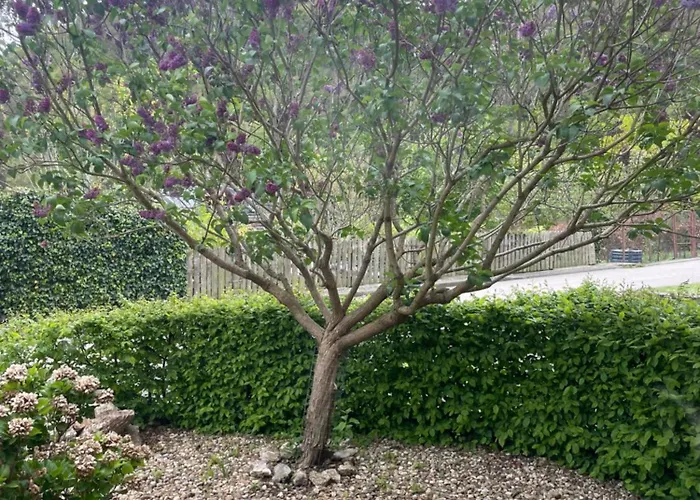 Auf Muehlenfeld Heimbach