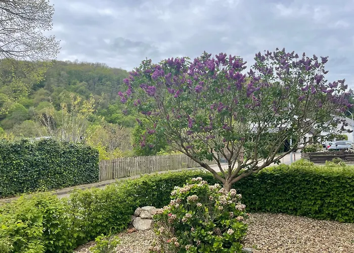 Apartament Auf Muehlenfeld